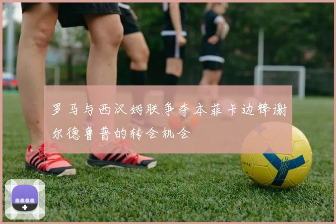 罗马与西汉姆联争夺本菲卡边锋谢尔德鲁普的转会机会
